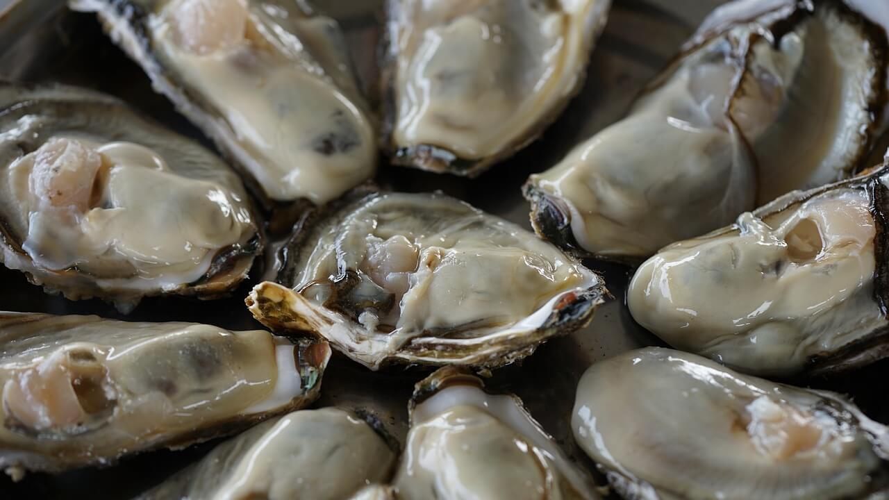 바다의 우유 굴: 겨울이면 생각나는 최고의 보양식