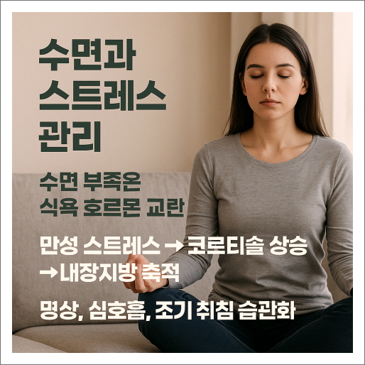내장지방줄이는법_수면과스트레스관리