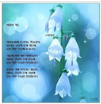 천주교 새벽을 시작하는 은총의 아침기도문 모음_17