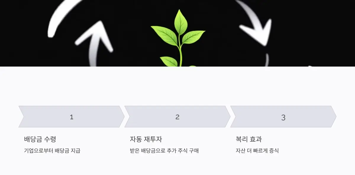 배당-재투자-계획-활용하기