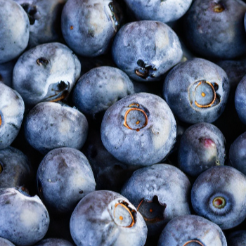 블루베리: 안티옥시던트의 왕