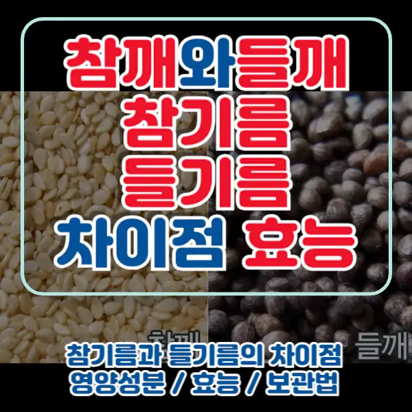 포스팅-썸네일