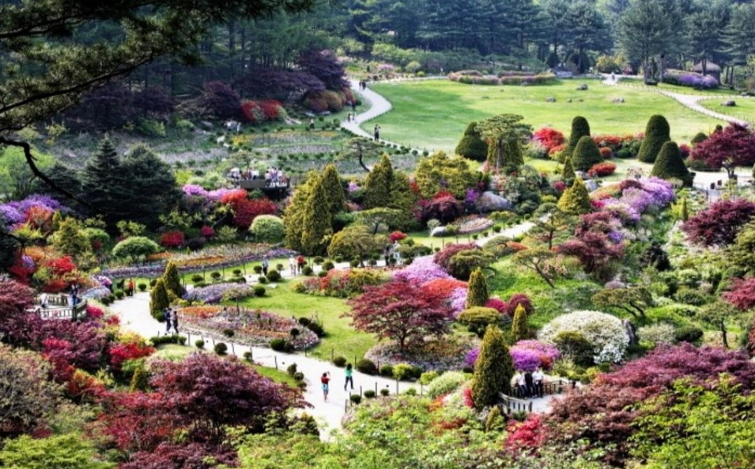 가평 켄싱턴리조트 산책로