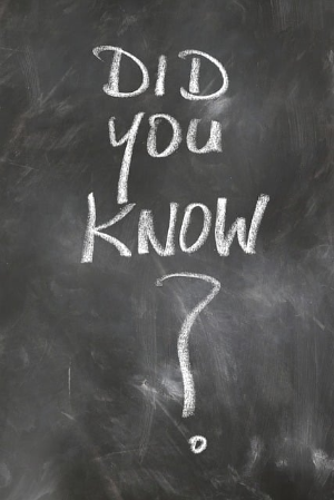 자격증 국비지원1