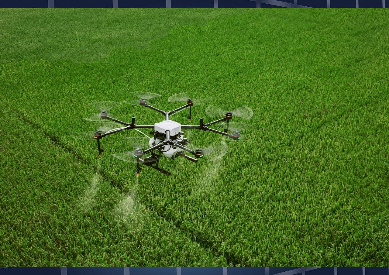 개발도상국 농업발전과 식량확보