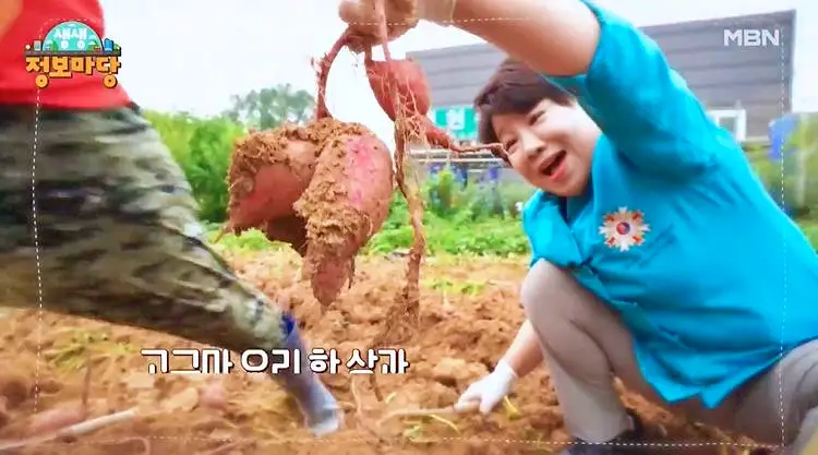 선영밥상 고구마 요리 한상과 먹는 꿀팁 가득 양념 게장 요리 만드는 방법 레시피 추천