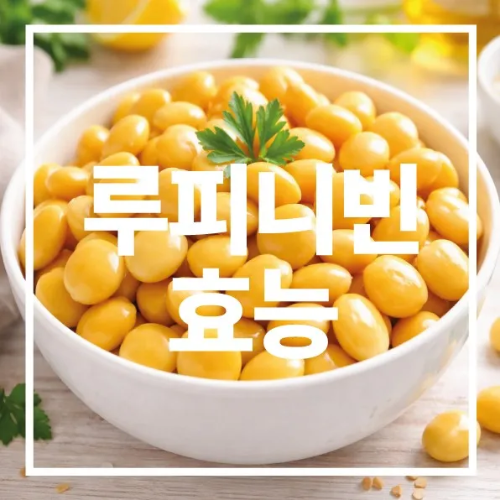 루피니빈 효능
