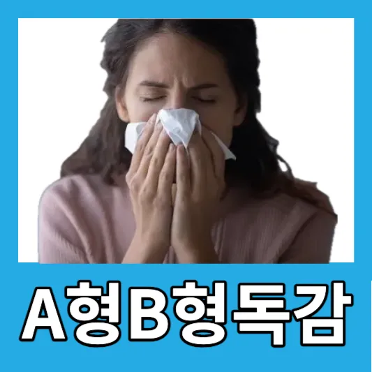A형독감 B형독감 A형독감 B형독감 차이 예방 및 치료 무료독감예방 치료 인플루엔자