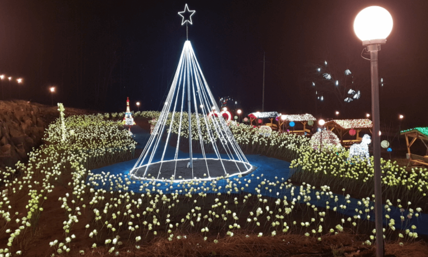 2024년 2월 강원도 여행 축제 갈만한 곳 추천