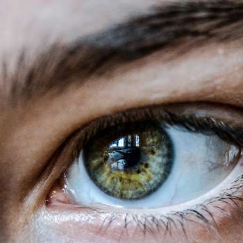 망막색소변성증