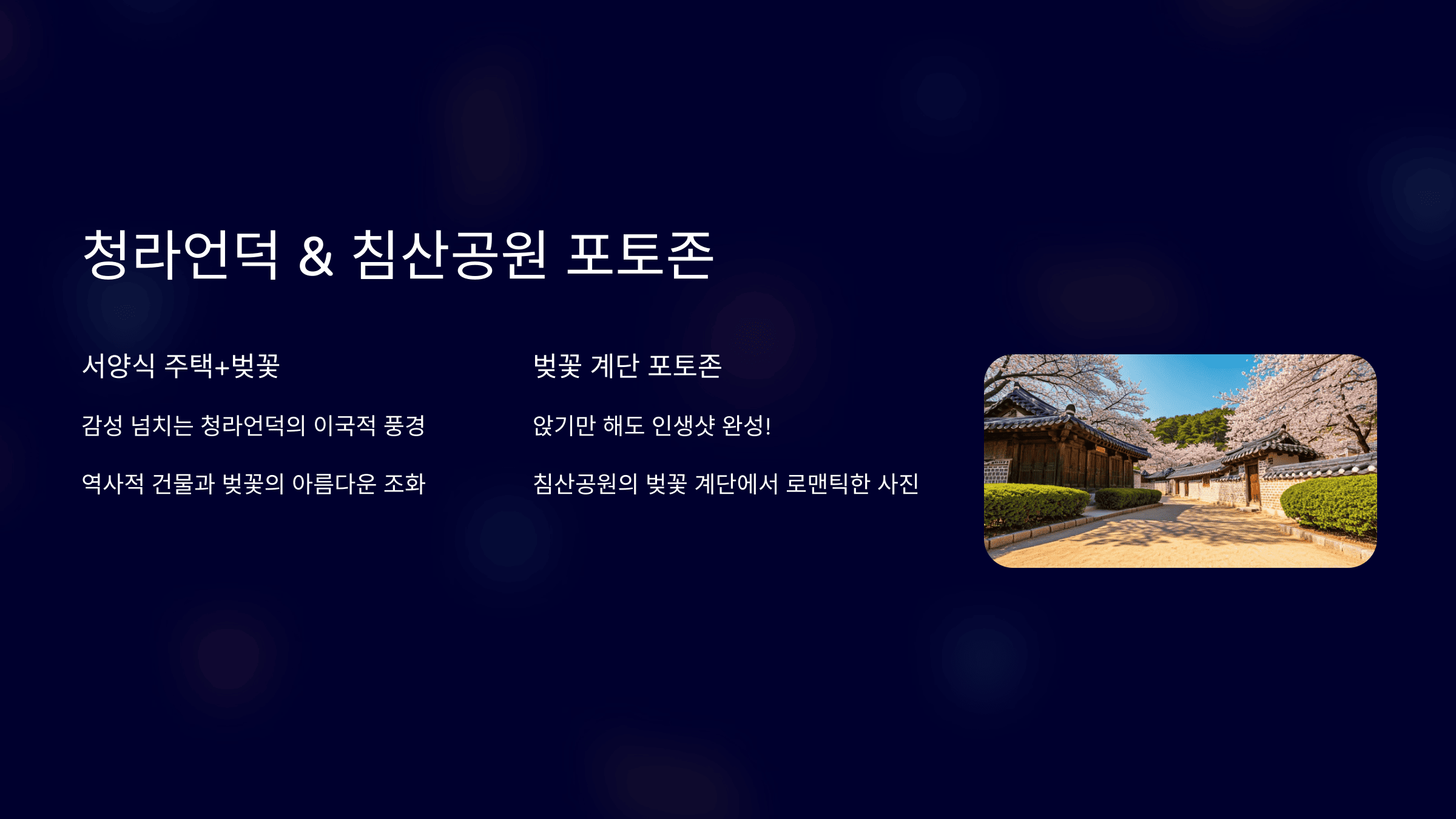 2025 대구 봄축제 완벽 가이드! 벚꽃부터 먹거리, 포토존까지 총정리