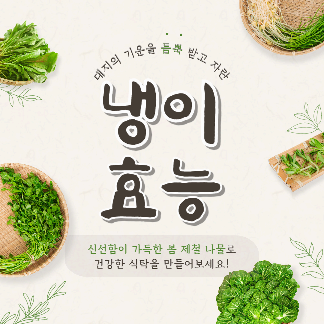 냉이 효능 봄철 최고의 보약