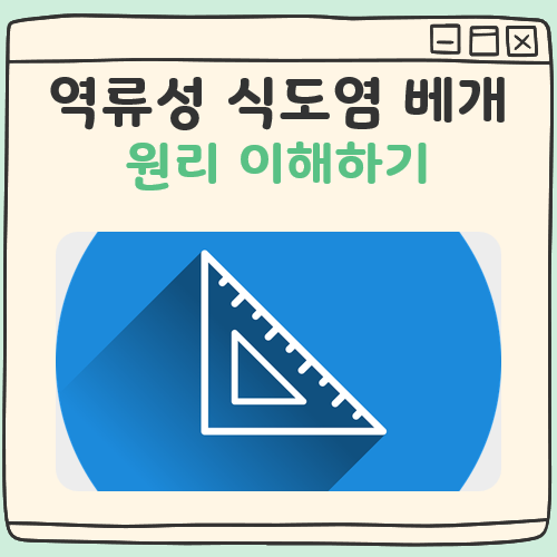 역류성 식도염 베개 대표 이미지