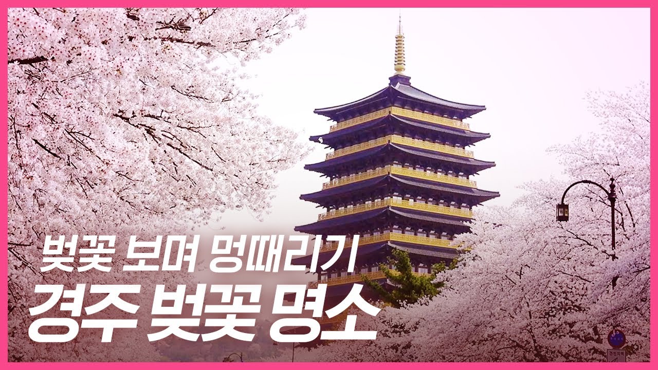 국내3대벚꽃명소사진