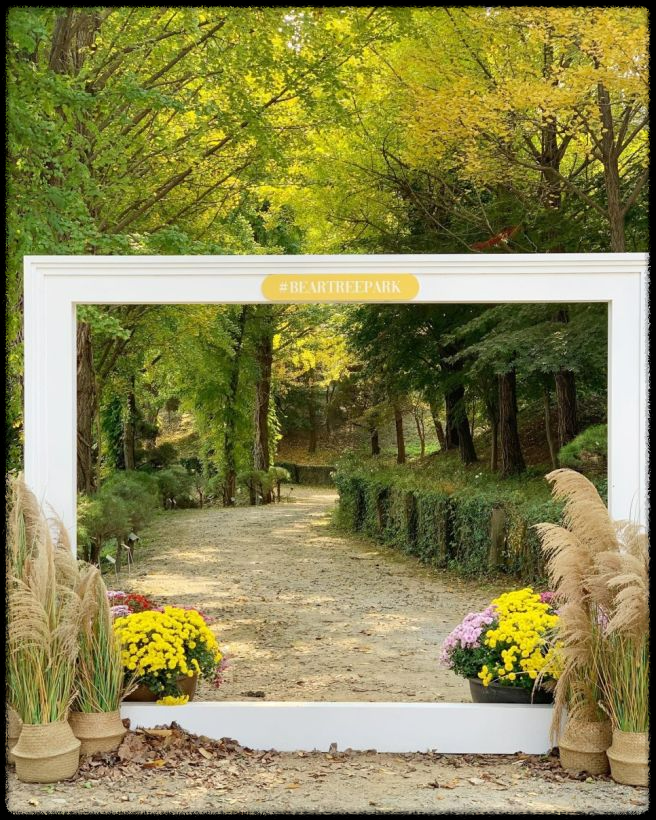 세종 베어트리 파크 단풍축제 - 입장료 싸게 사는 꿀팁