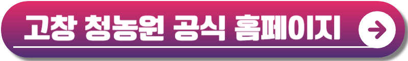 고창 청농원 라벤더시즌