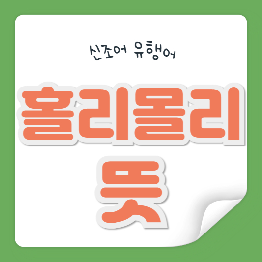 홀리몰리 뜻