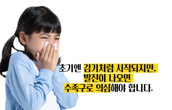 수족구 증상