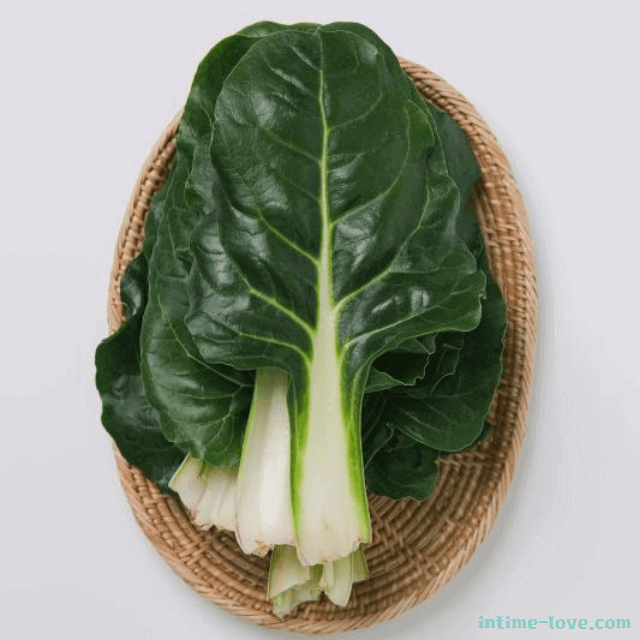 광택이 나는 싱싱한 근대