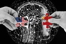 뇌 건강 영양제 기억력 이상 신호 늦기 전에 알아야할 것