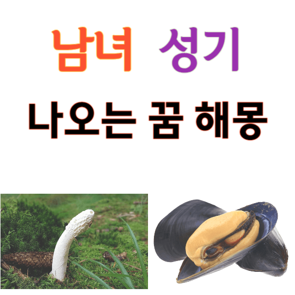 누군가에게 물어보기 민망하지만, 알고 싶은 남녀 성기 꿈 해몽입니다!