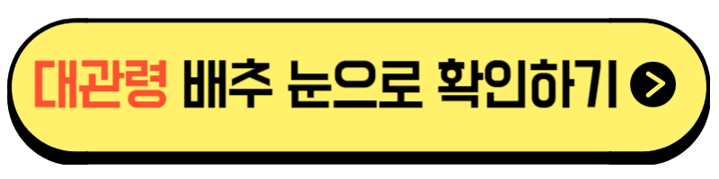 절임배추