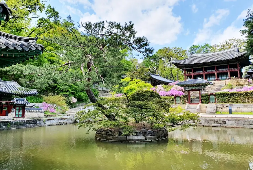 창덕궁 후원 관람 예약 방법9