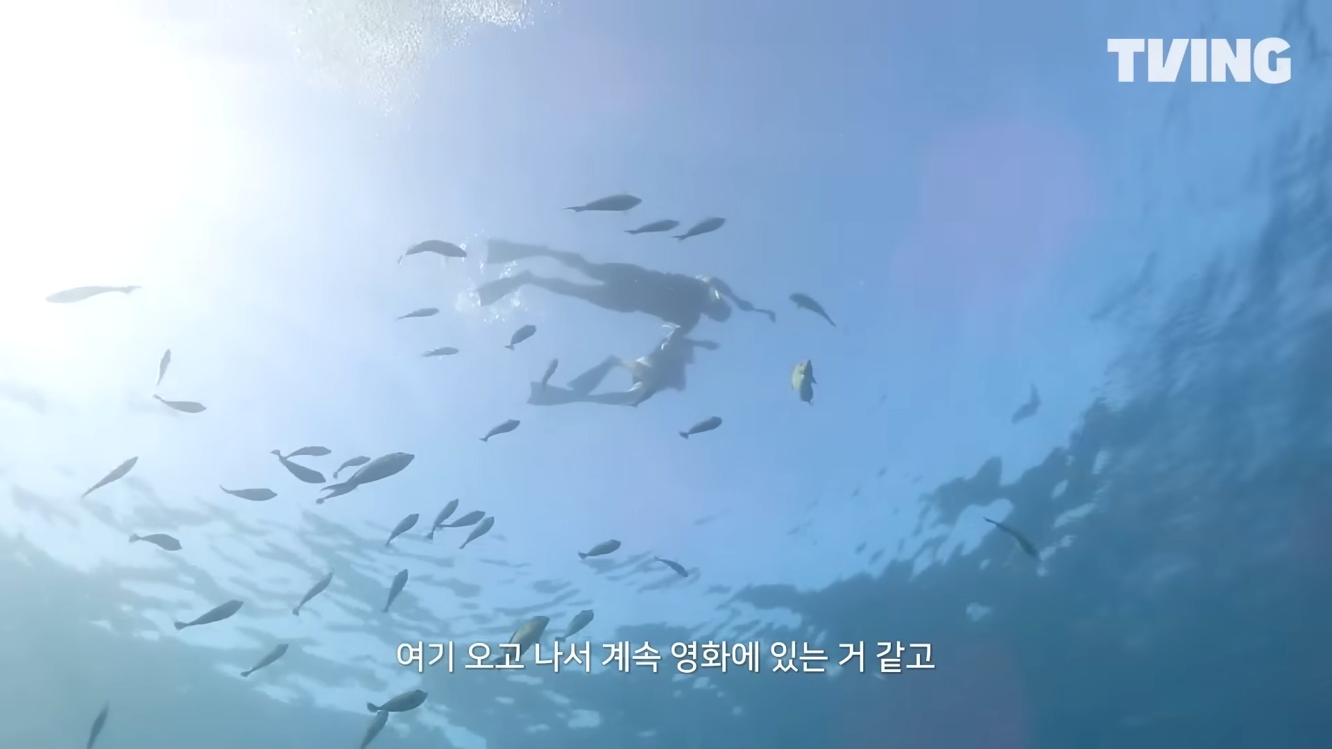 러브캐쳐인발리-4화