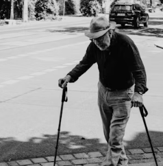 콘드로이친 효능 복용법 시간 부작용