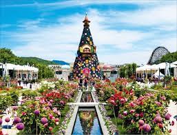 에버랜드 큐패스 가격