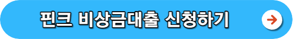 소액대출