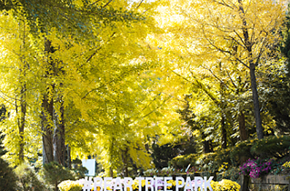 베어트리파크 단풍축제 일정 및 입장료 온라인 예매, 주차장