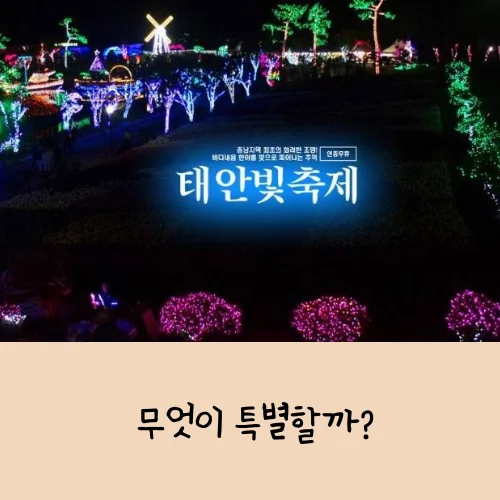 태안 빛축제 네이처월드