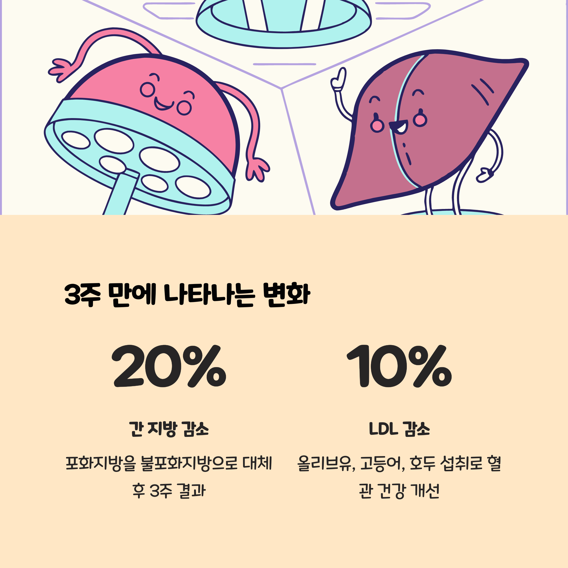 3주 만에 변화하는 체내 지방, 연구가 밝힌 놀라운 전환 효과