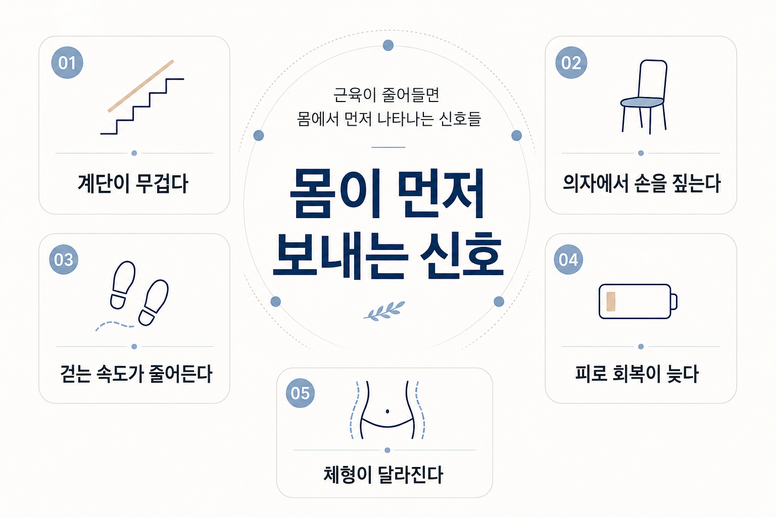 근육이 줄어들 때 계단 오르기, 의자에서 일어나기, 걷는 속도, 피로 회복 등 일상 동작에서 나타날 수 있는 신호를 정리한 이미지