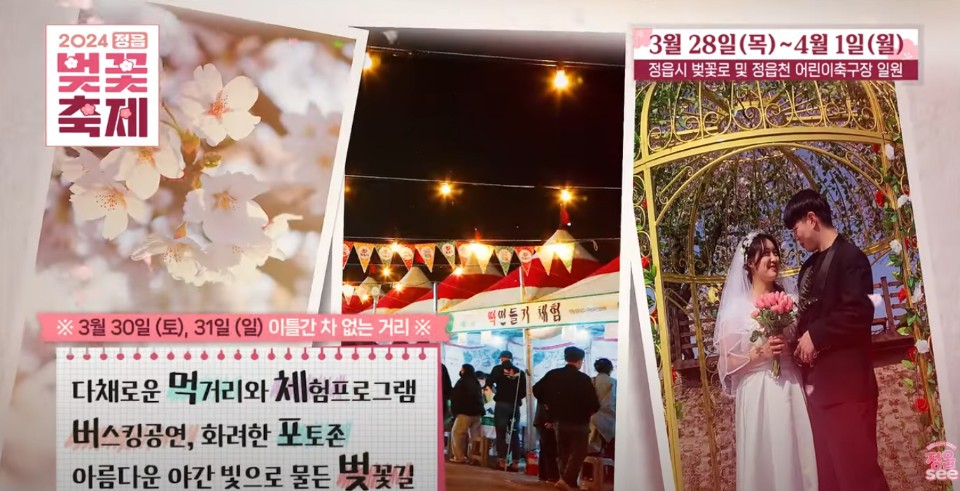 2024 정읍 벚꽃 축제