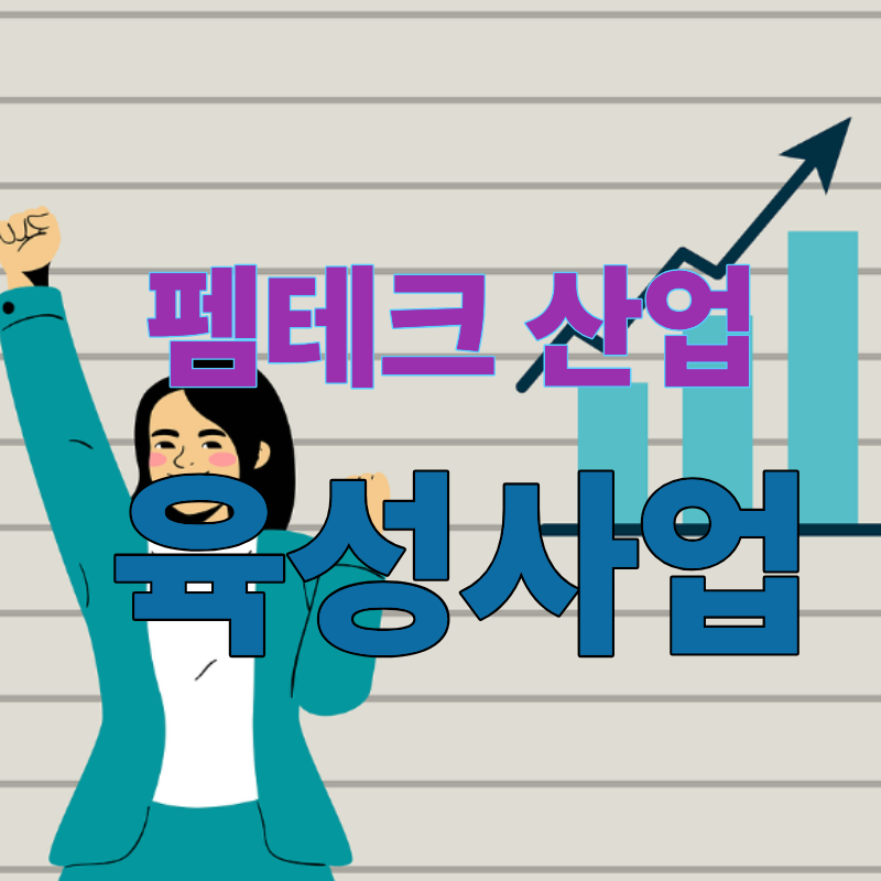 펨테크 산업 육성사업 설명