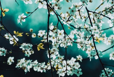 입춘대길 붙이는 시간 방법