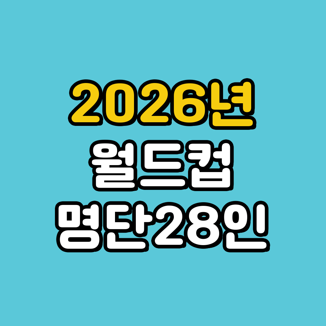 축구 국가대표 북중미 월드컵 명단 28명 발표