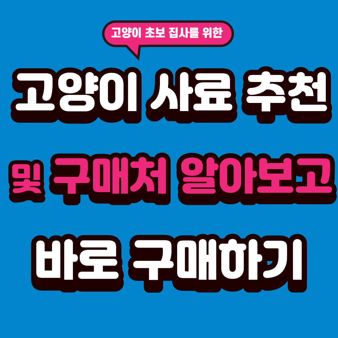 고양이 사료 추천 및 구매처 알아보고 바로 구매하기
