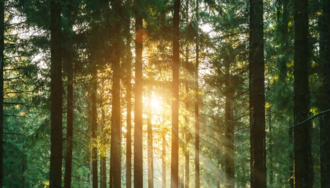 제로 웨이스트: 환경보호를 위한 첫걸음