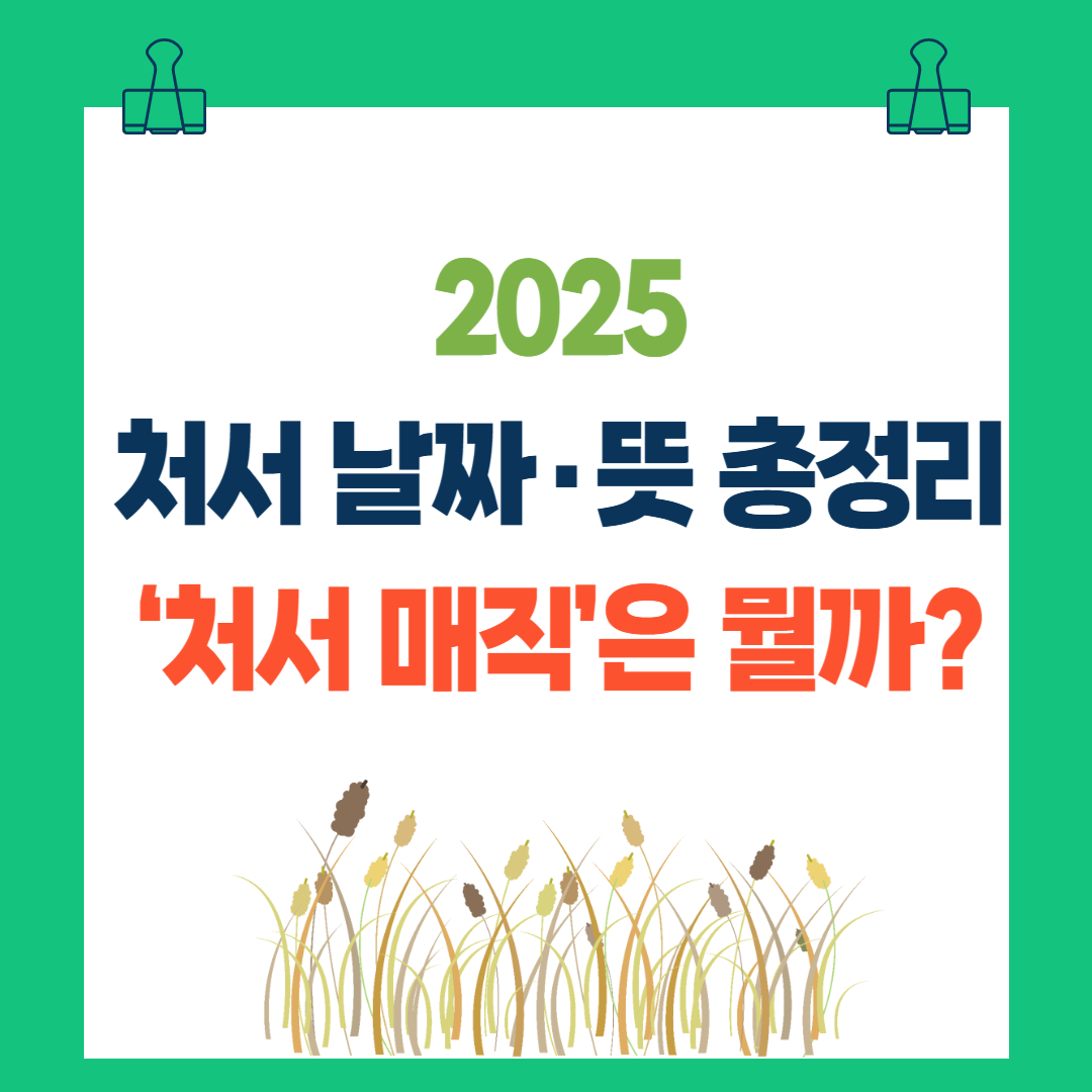 2025 처서 날짜·뜻 총정리|‘처서 매직’은 뭘까? 올해 전망까지