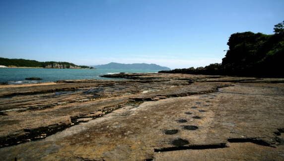 상족암군립공원