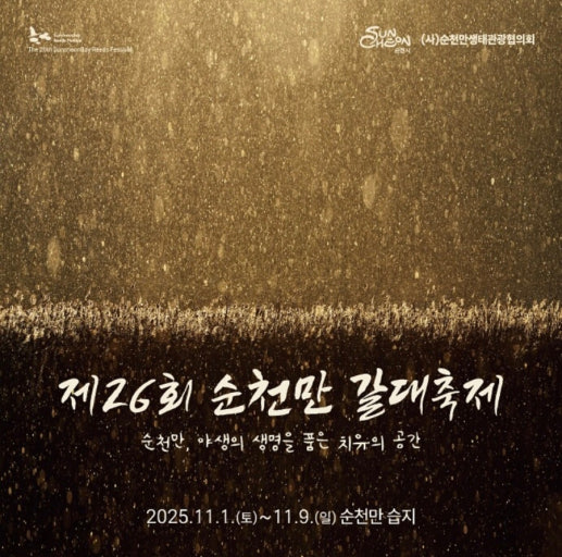 2025 순천만 갈대축제 ❘ 순천만이 들려주는 자연의 속삭임 관련 사진