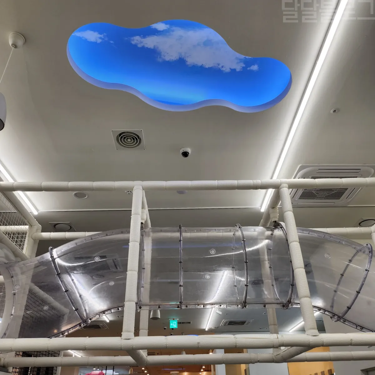 고고다이노-키즈카페-정글-짐