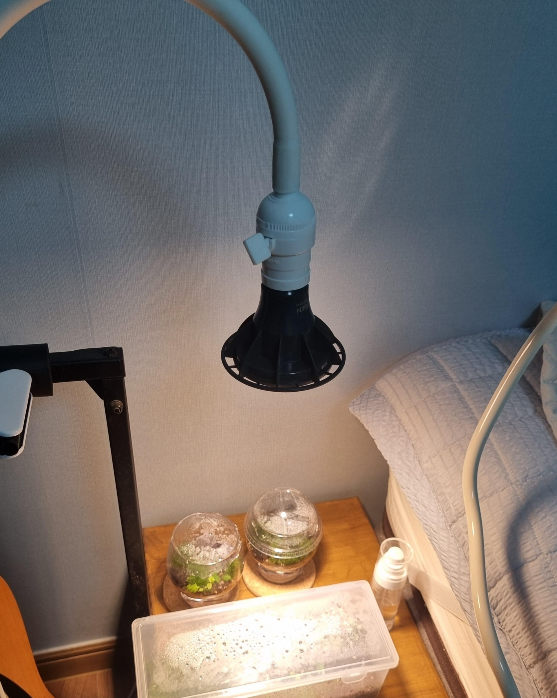 집에 켜져있는 식물등