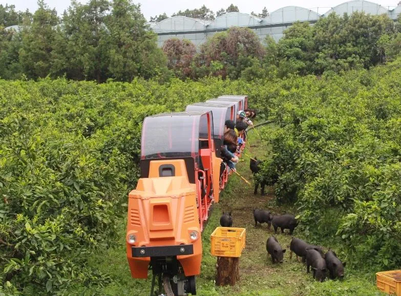 제주도-아이들과-가볼만한-놀거리-모노레일-타고-동물들-먹이주는-사람들