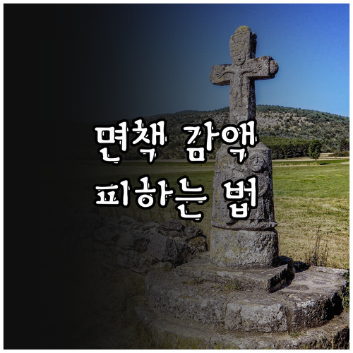 치아보험 면책 감액 기간 피하는 가입