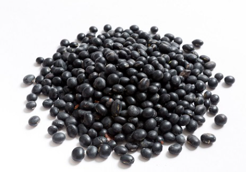 탈모에좋은음식