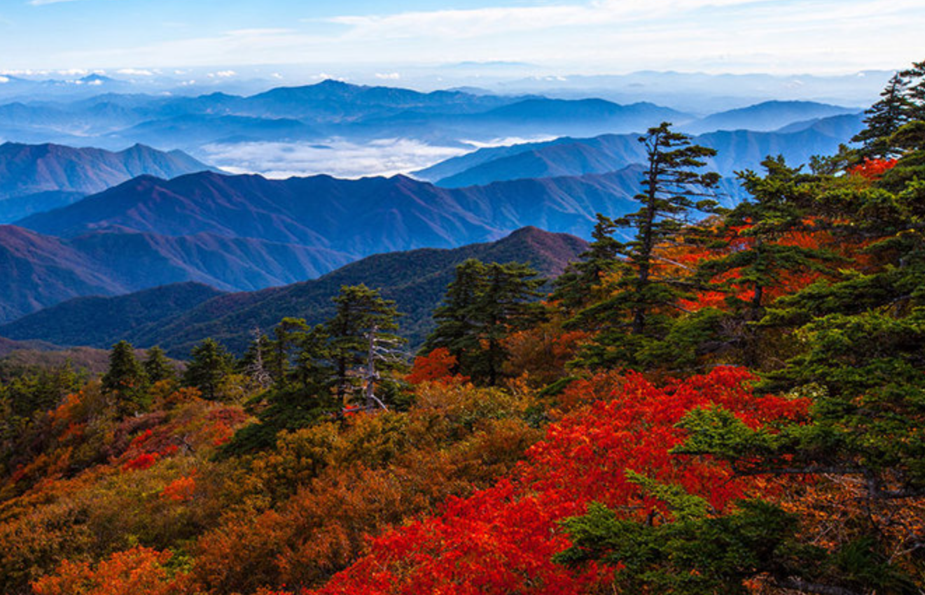 설악산단풍